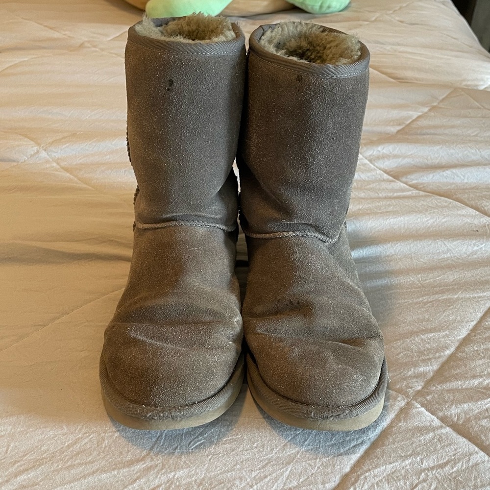Gray Koolaburra by UGG Boots